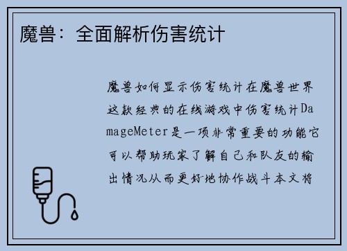 魔兽：全面解析伤害统计